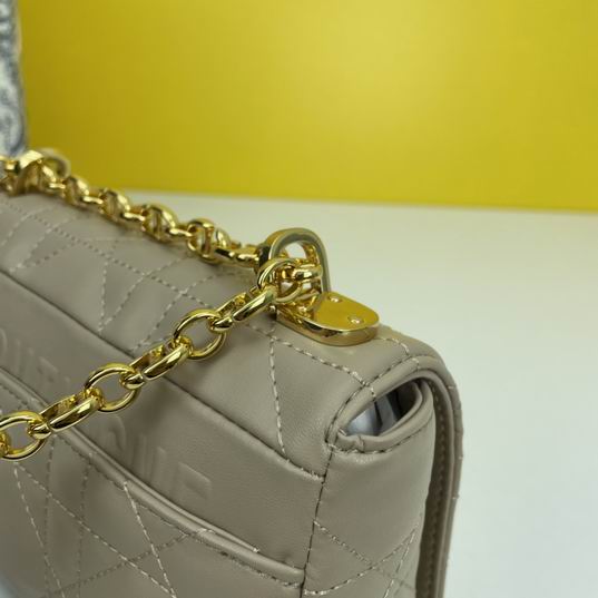 Dior Caro 2086 20x12x7cm ww4色 (1)