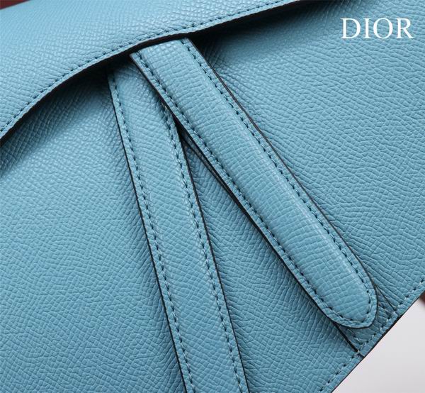Dior M0446手掌纹 25.5x20x6.5cm CN7色 (1)