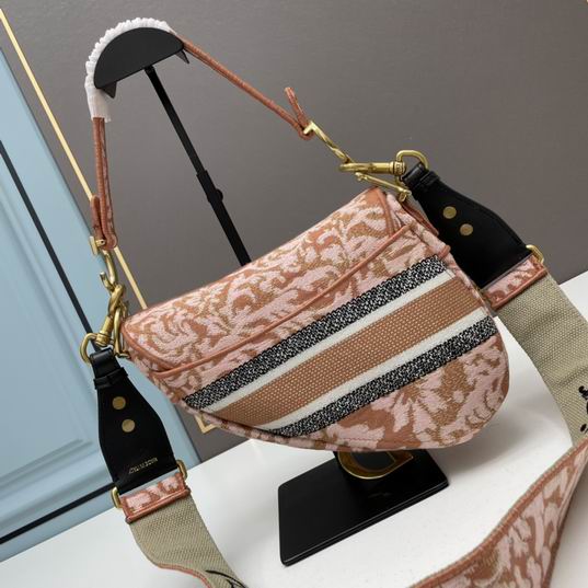 Dior saddle 25.5x20x6.5cm ww (1)
