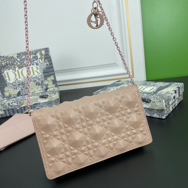 Diorcaropouch 1228 YW (1)
