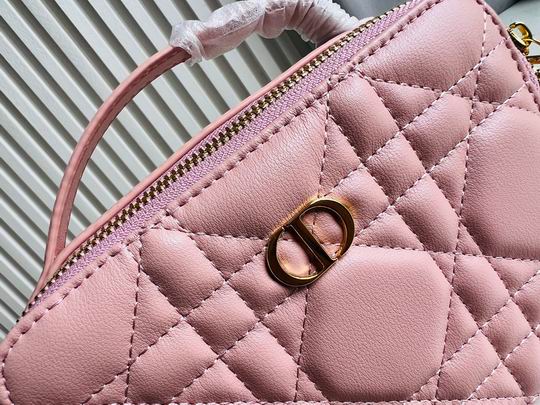 Dior Caro 17.5x5.5x13cm CN5色 (1)