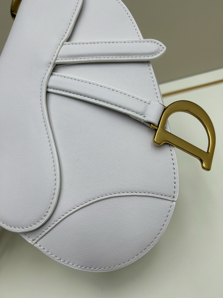 Dior saddle 0455 25 5x20x6 5cm jj1_1