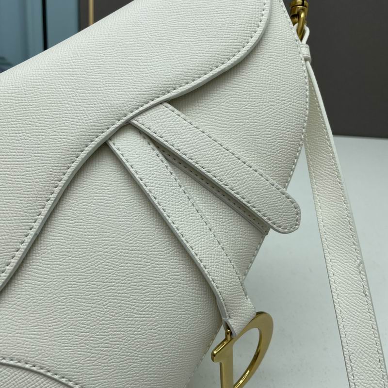 Dior saddle 0546 25.5x20x6.5cm ww5色 (1)