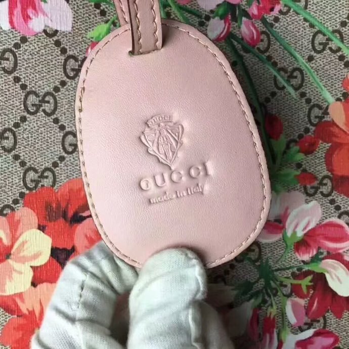 GU368568 (1)