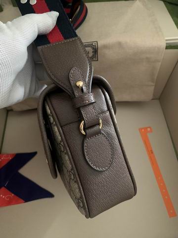 Gucci Ophidia 722117 23x17x7cm ww2色 (1)