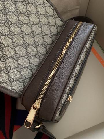 Gucci Ophidia 722117 23x17x7cm ww2色 (1)