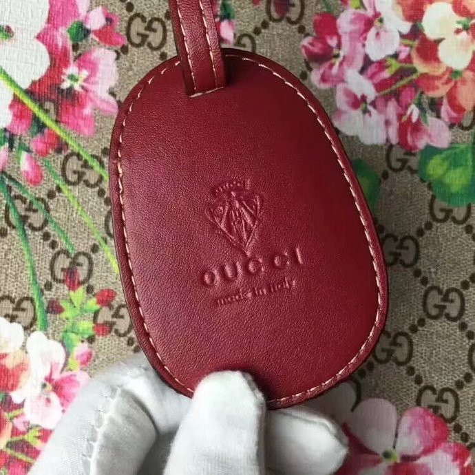 GU368568 (1)