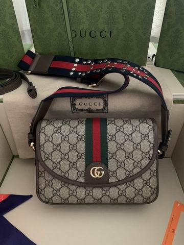 Gucci Ophidia 722117 23x17x7cm ww2色 (1)