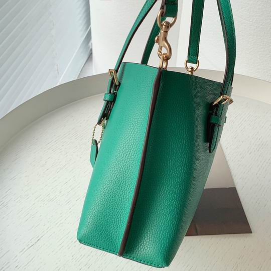 Coach C4250 25x19x110cm zy2_1