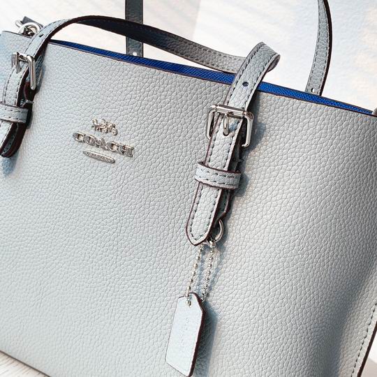 Coach C4250 25x19x110cm zy1_1
