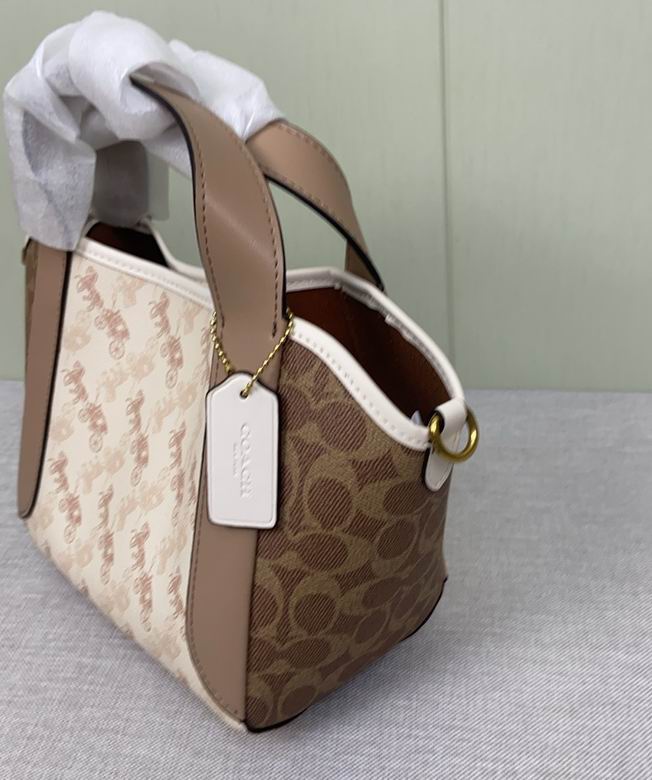 CZ317 23X12X8cm AZ 0