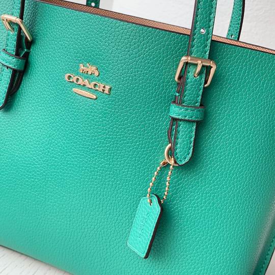 Coach C4250 25x19x110cm zy2_1