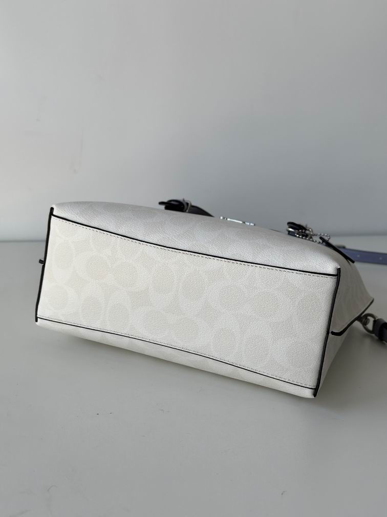 C4250 25X19X12.5cm AZ 5色 36