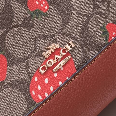CH324 22X21X12cm AZ 1