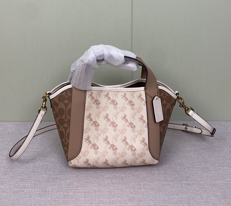 CZ317 23X12X8cm AZ 0