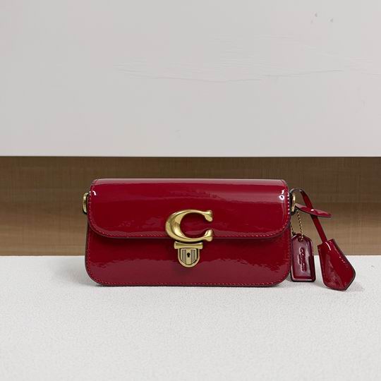 CE761 20X11X6cm AZ 4色 1