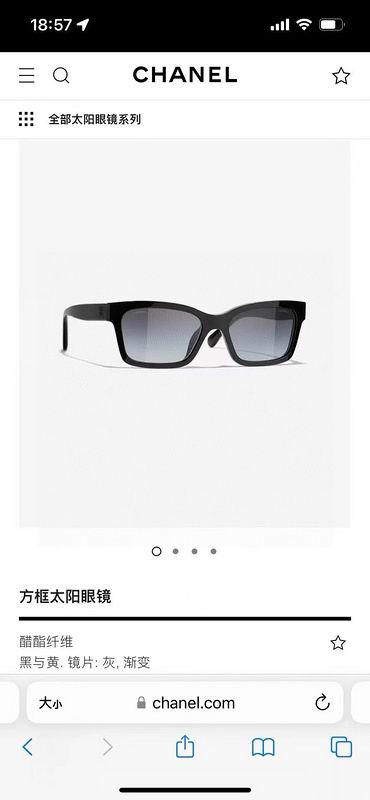 Chanel Glasses smh65 (1)
