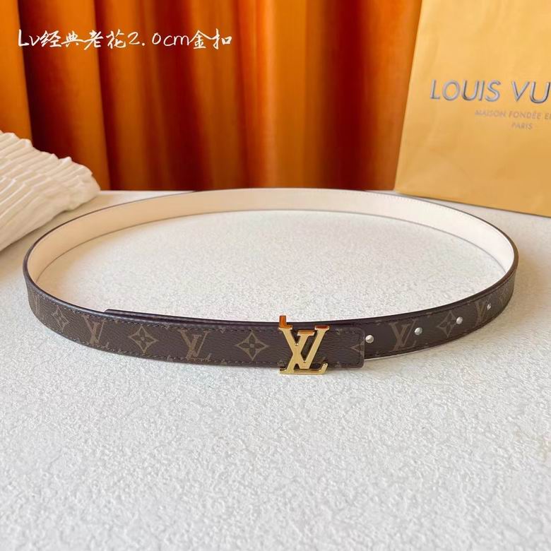 LV 20mmx95-115cm (2)