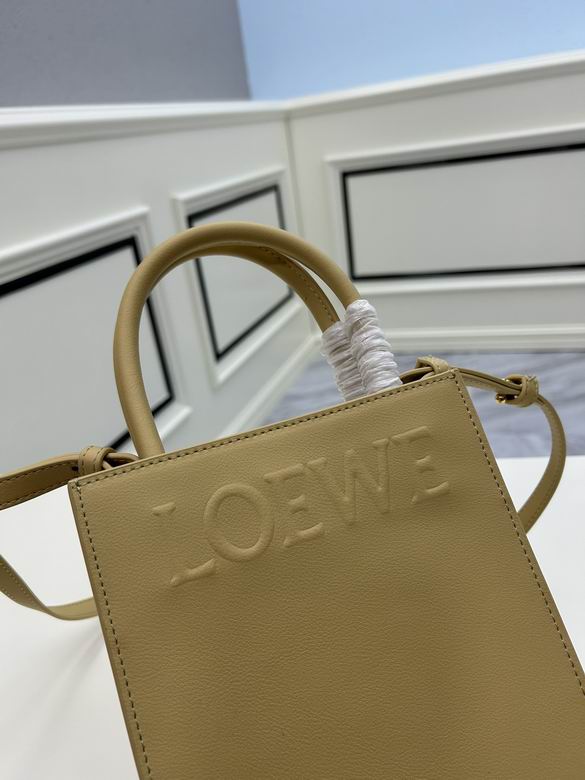 Loewe tote 21x17x6cm ww2色 (1)