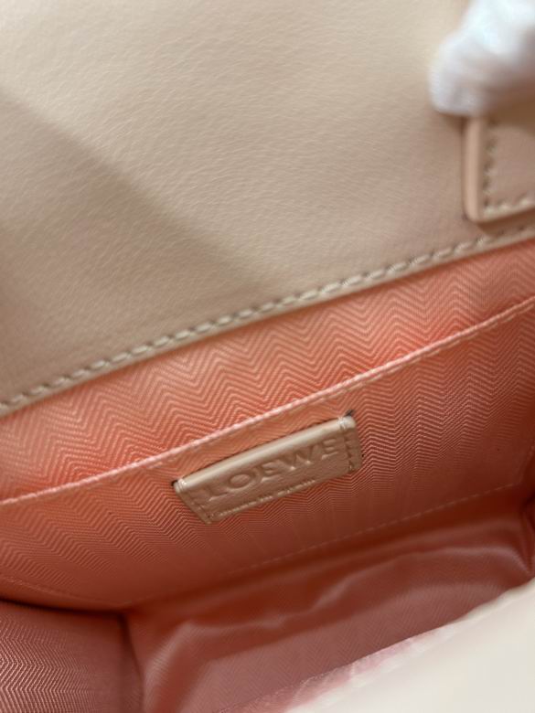 Loewe tote 21x17x6cm ww2色 (1)