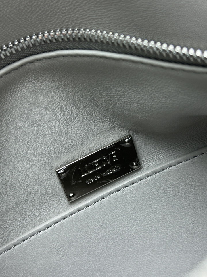 Loewe S250505 24x16 5x10 5cm jj_1