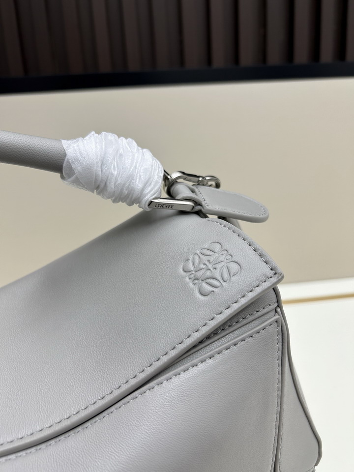 Loewe S250505 24x16 5x10 5cm jj_1