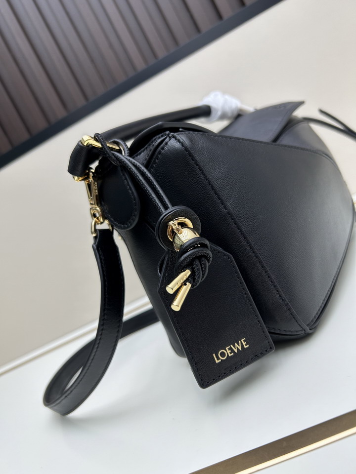 Loewe S25050527 24x16 5x10 5cm jj_1