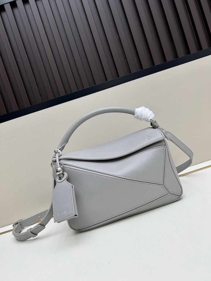 Loewe S250505 24x16 5x10 5cm jj_1