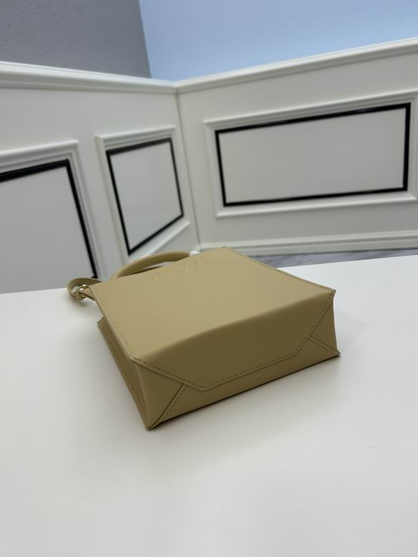 Loewe tote 21x17x6cm ww2色 (1)