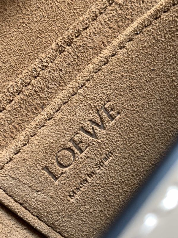 LOEWE 0509