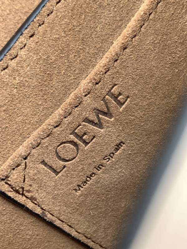 LOEWE 0510