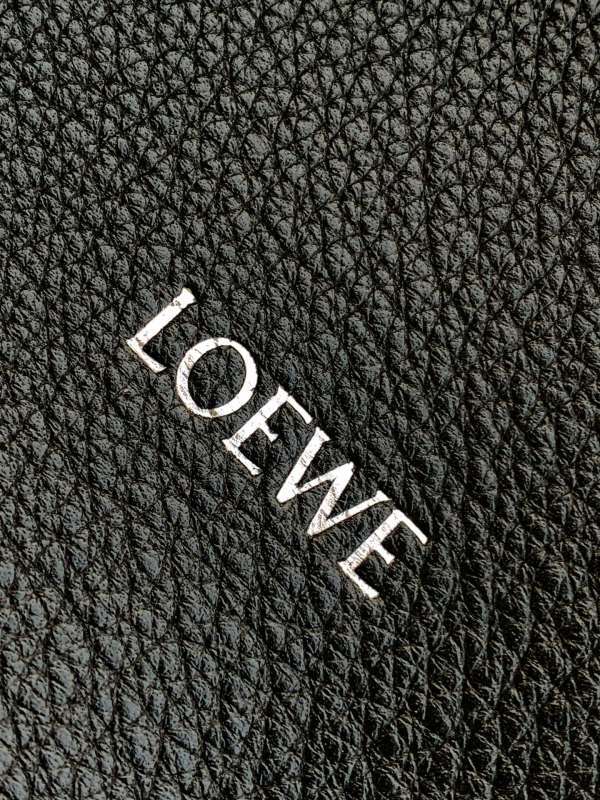 LOEWE 0298