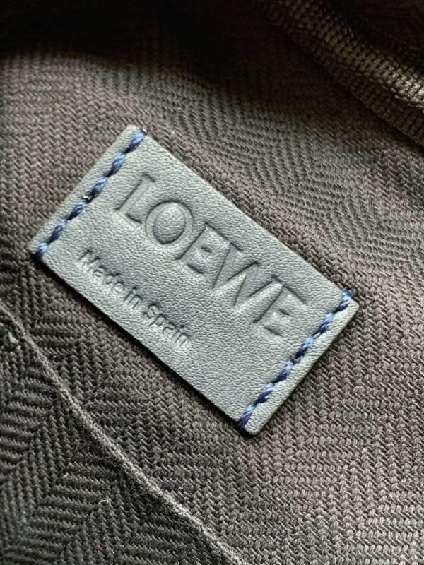 LOEWE 0307