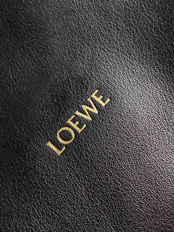 LOEWE 0263