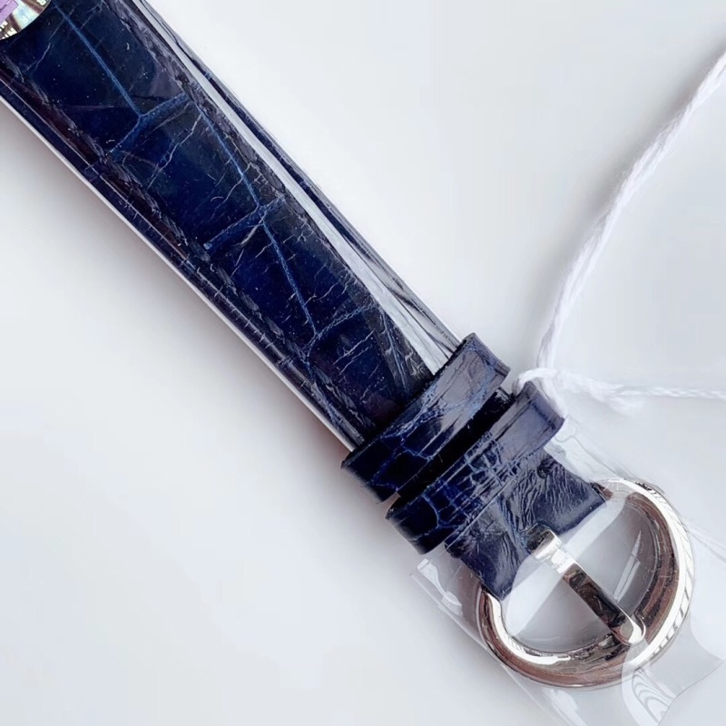 Watch0739