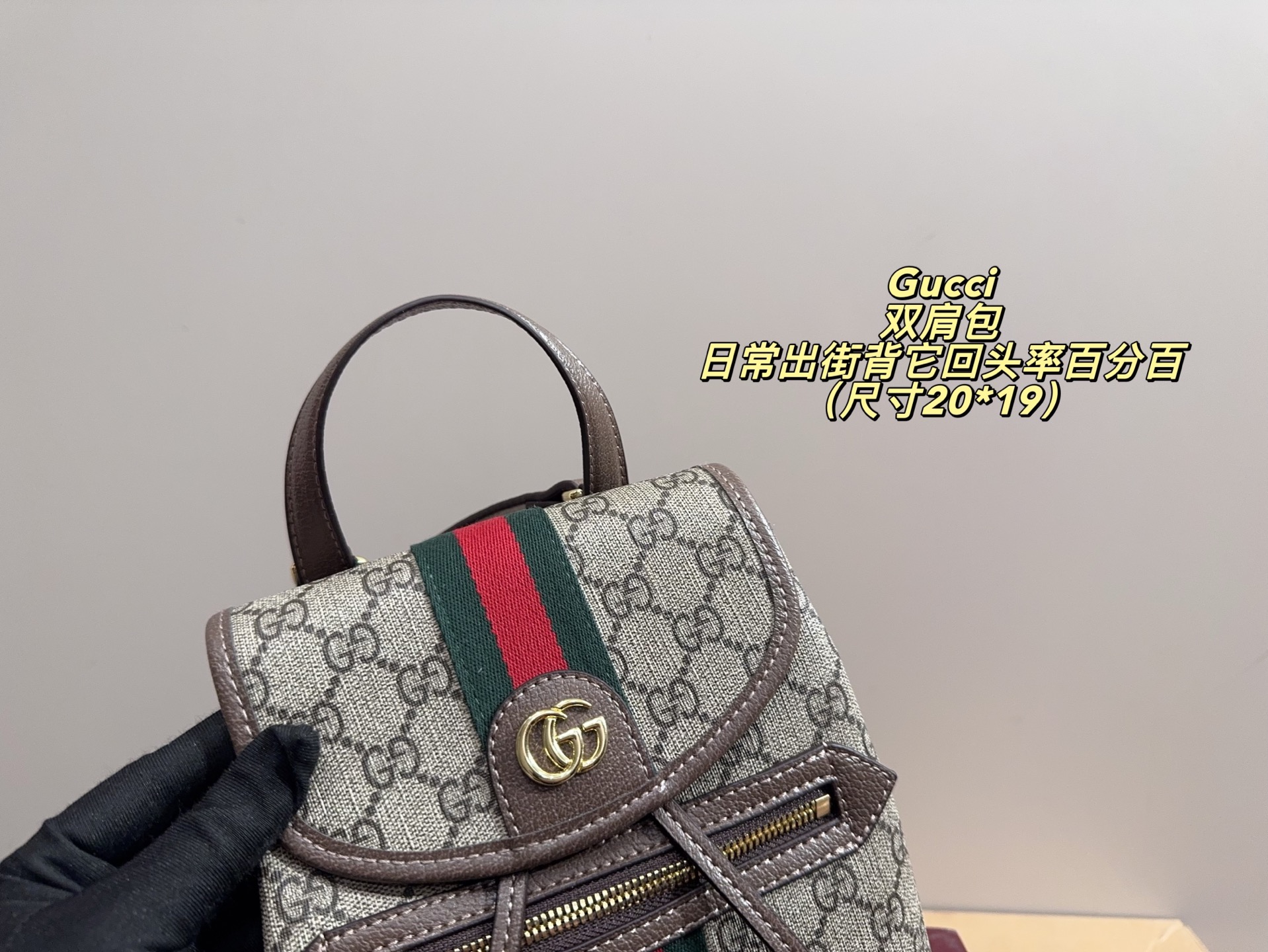 P170配折叠盒⚠️尺寸20*19 酷奇 Gucci mini双肩包 质感很高级 容量超级大也很耐用 日常出街背它回头率百分百 就是这种随性慵懒感