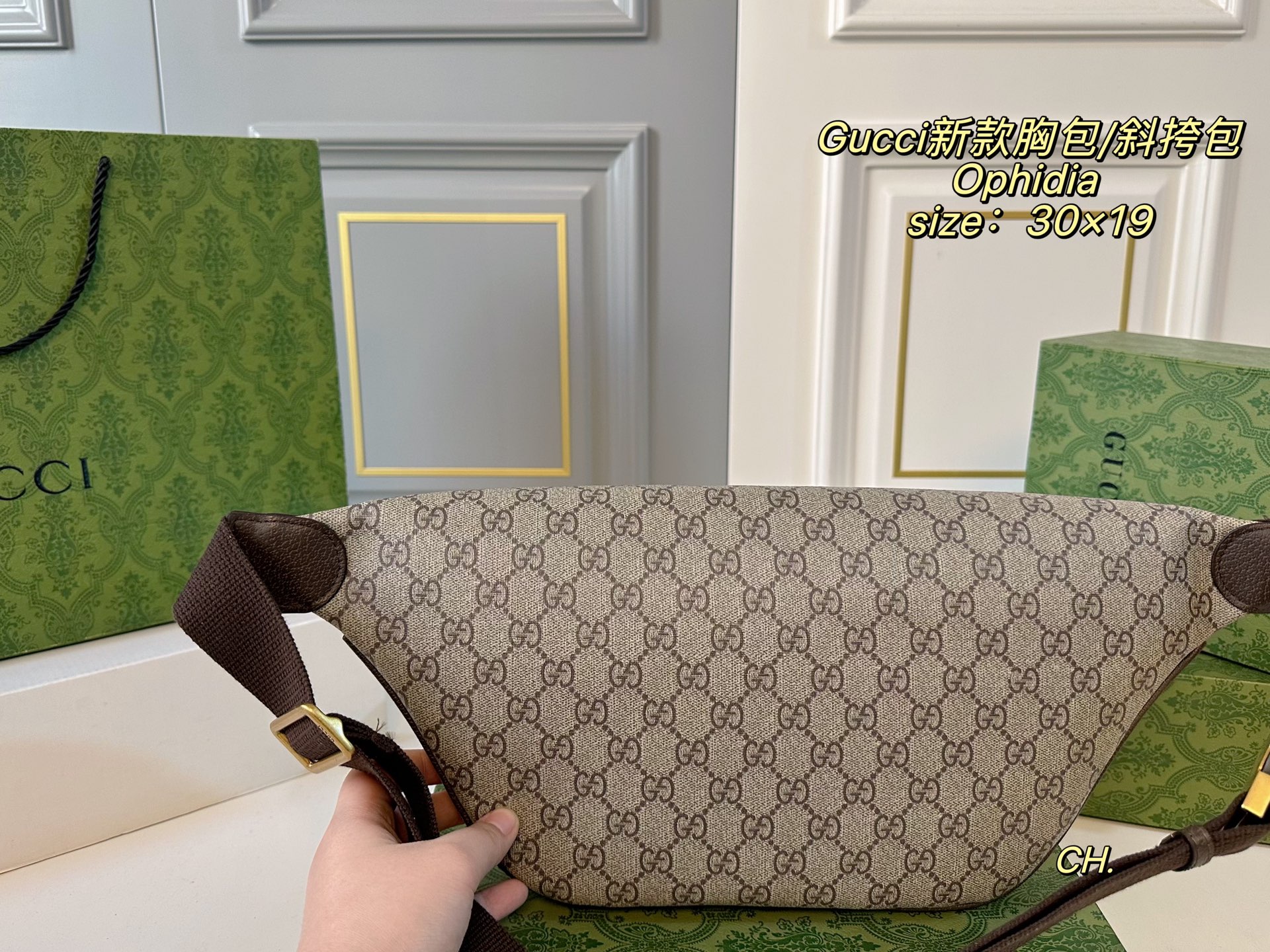 P120（配盒） size：30&times;19 Gucci 古驰新款Ophidia 胸包/斜挎包💕 腰包设计不仅实用, 还增强了整体设计感！ 日常搭配不同衣着都可以， 男女通用，上身造型感很赞！