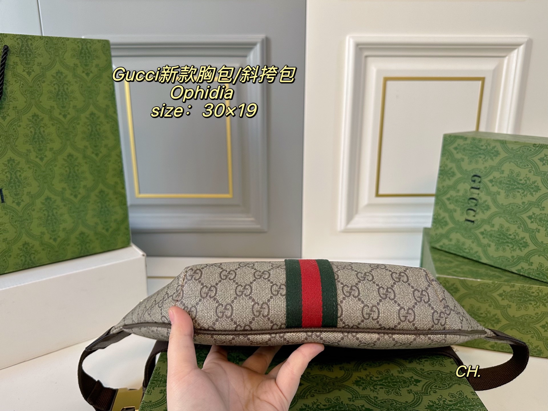 P120（配盒） size：30&times;19 Gucci 古驰新款Ophidia 胸包/斜挎包💕 腰包设计不仅实用, 还增强了整体设计感！ 日常搭配不同衣着都可以， 男女通用，上身造型感很赞！