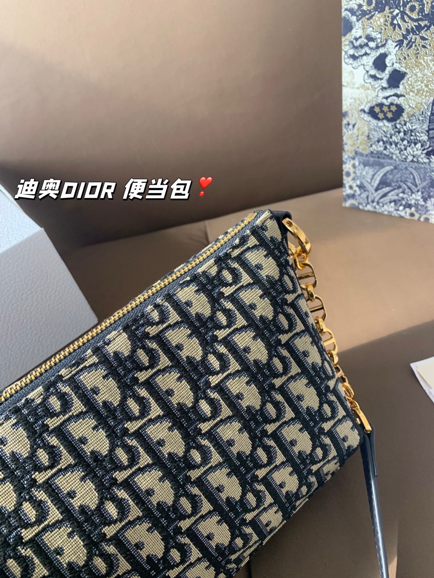 P165 折叠盒 迪奥DIOR 便当包 很有质感 可盐可甜上身绝美 无可比拟 是每个追求漂亮的女孩必入单品 尺寸22*16