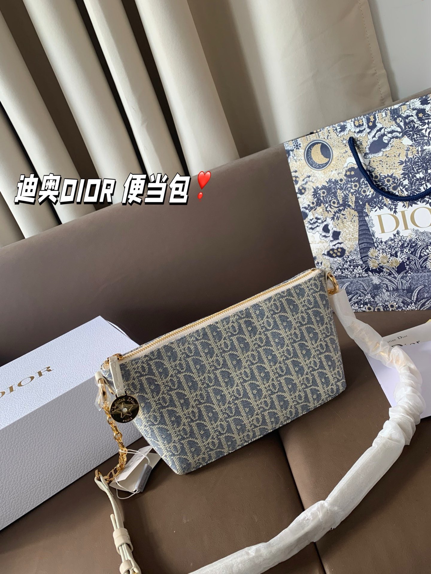 P165 折叠盒 迪奥DIOR 便当包 很有质感 可盐可甜上身绝美 无可比拟 是每个追求漂亮的女孩必入单品 尺寸22*16