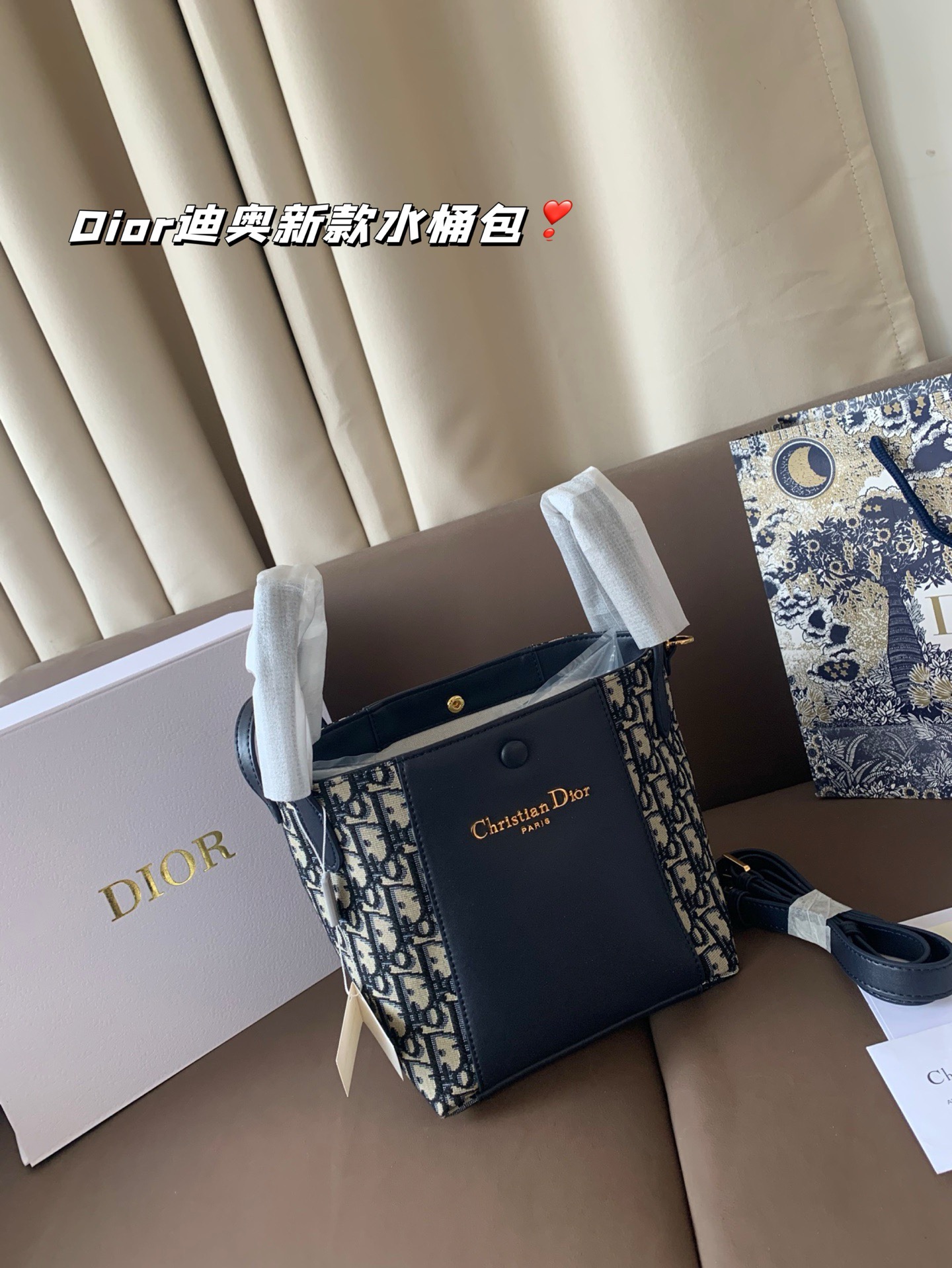 P170 Dior迪奥新款水桶包 高级感满满 经典中的经典 任何搭配都可轻松驾驭 尺寸19*20