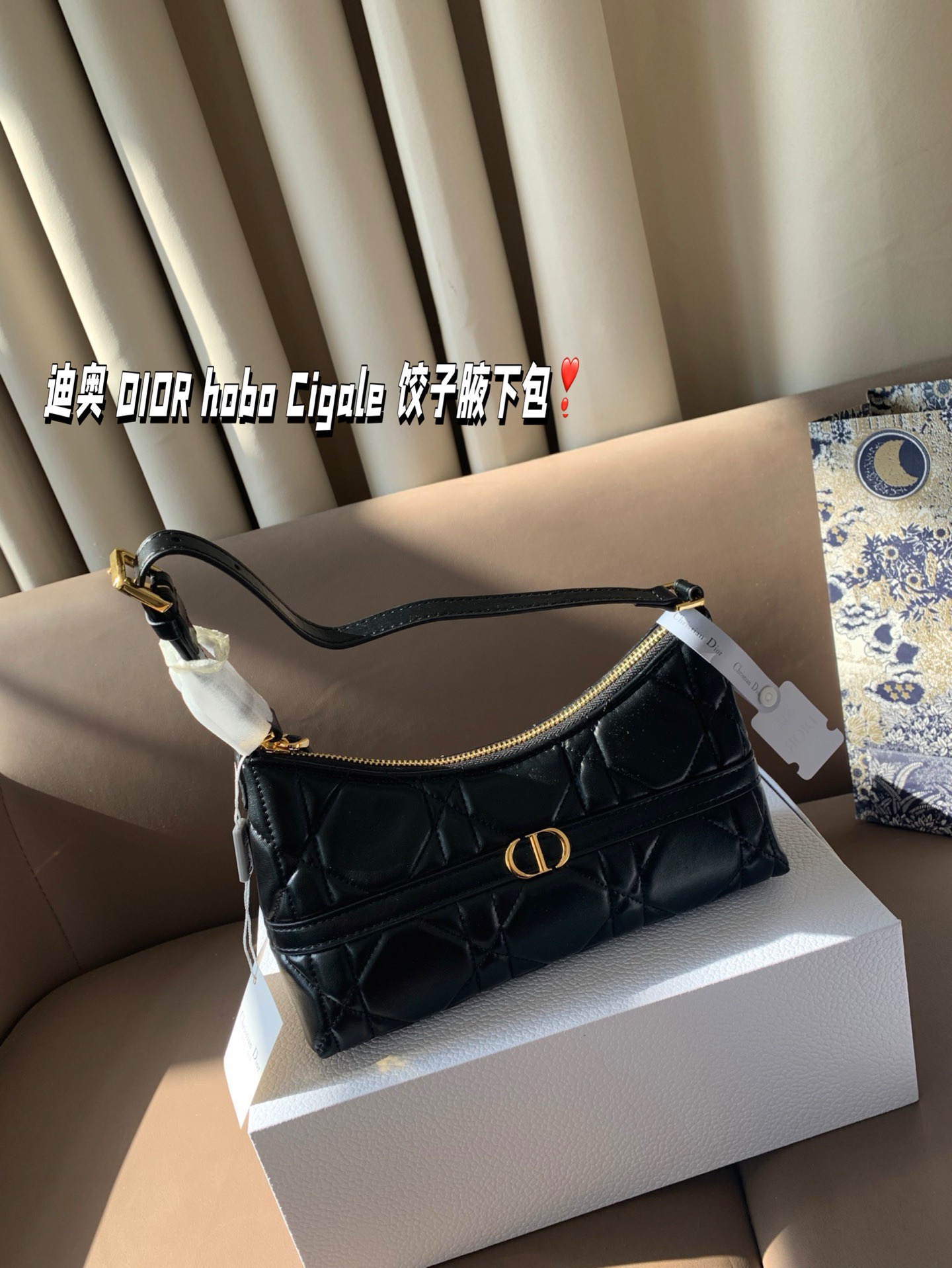 P155 折叠盒 迪奥 DIOR hobo Cigale 饺子腋下包 喜欢腋下包的有福啦 DIOR新出的这款迷你单肩水饺包 尺寸23*11