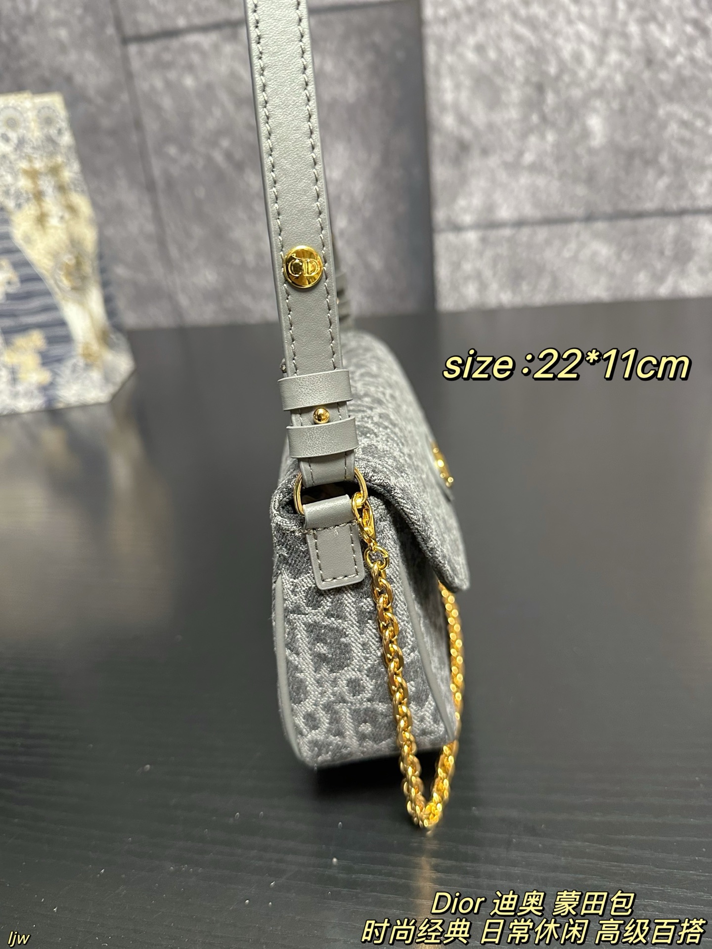 P165配盒 Dior 迪奥 蒙田包 迪奥新品，这只蒙田 D-Vine 真的越看越喜欢，白色老花提花带一点黑线细节，刚好是那种秋天的柔和质感，最可爱的是那个小狮子包挂！毛茸茸的、软软的，挂上去整只包都变得更俏皮～优雅和可爱这次全都拿捏住了🐾 尺寸：22*11cm