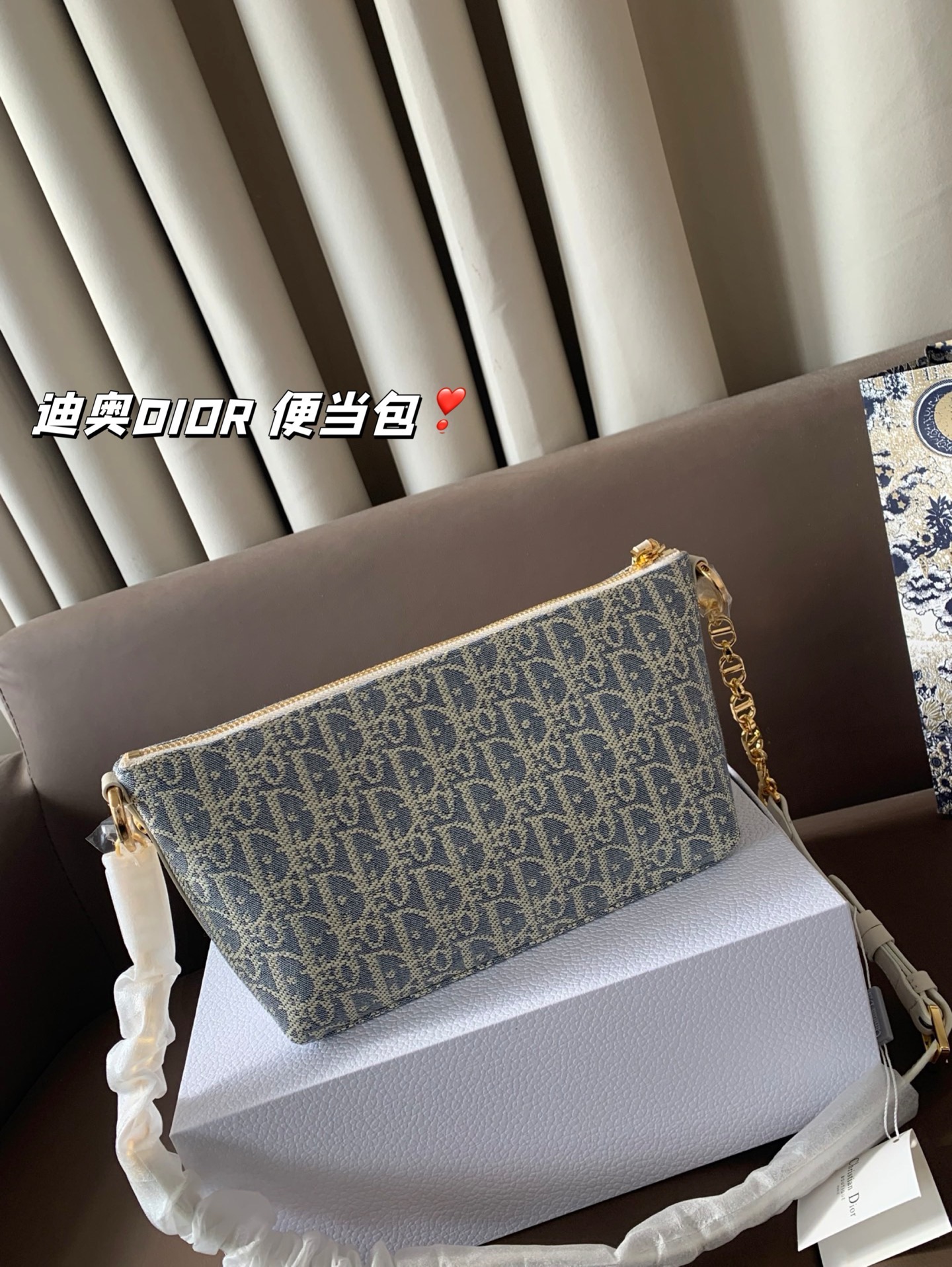 P165 折叠盒 迪奥DIOR 便当包 很有质感 可盐可甜上身绝美 无可比拟 是每个追求漂亮的女孩必入单品 尺寸22*16