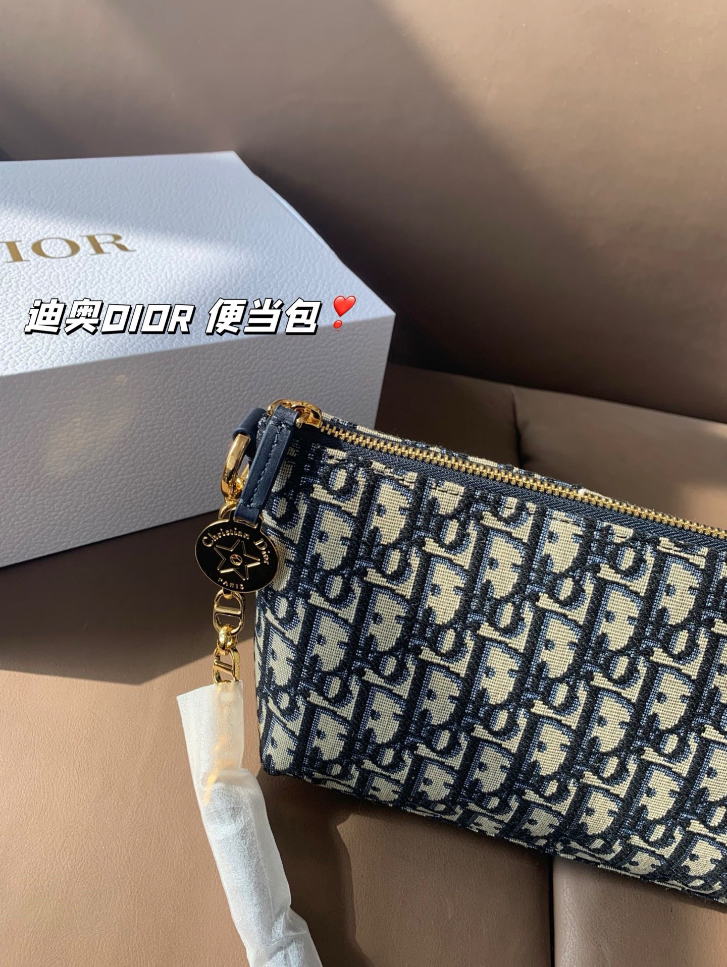 P165 折叠盒 迪奥DIOR 便当包 很有质感 可盐可甜上身绝美 无可比拟 是每个追求漂亮的女孩必入单品 尺寸22*16