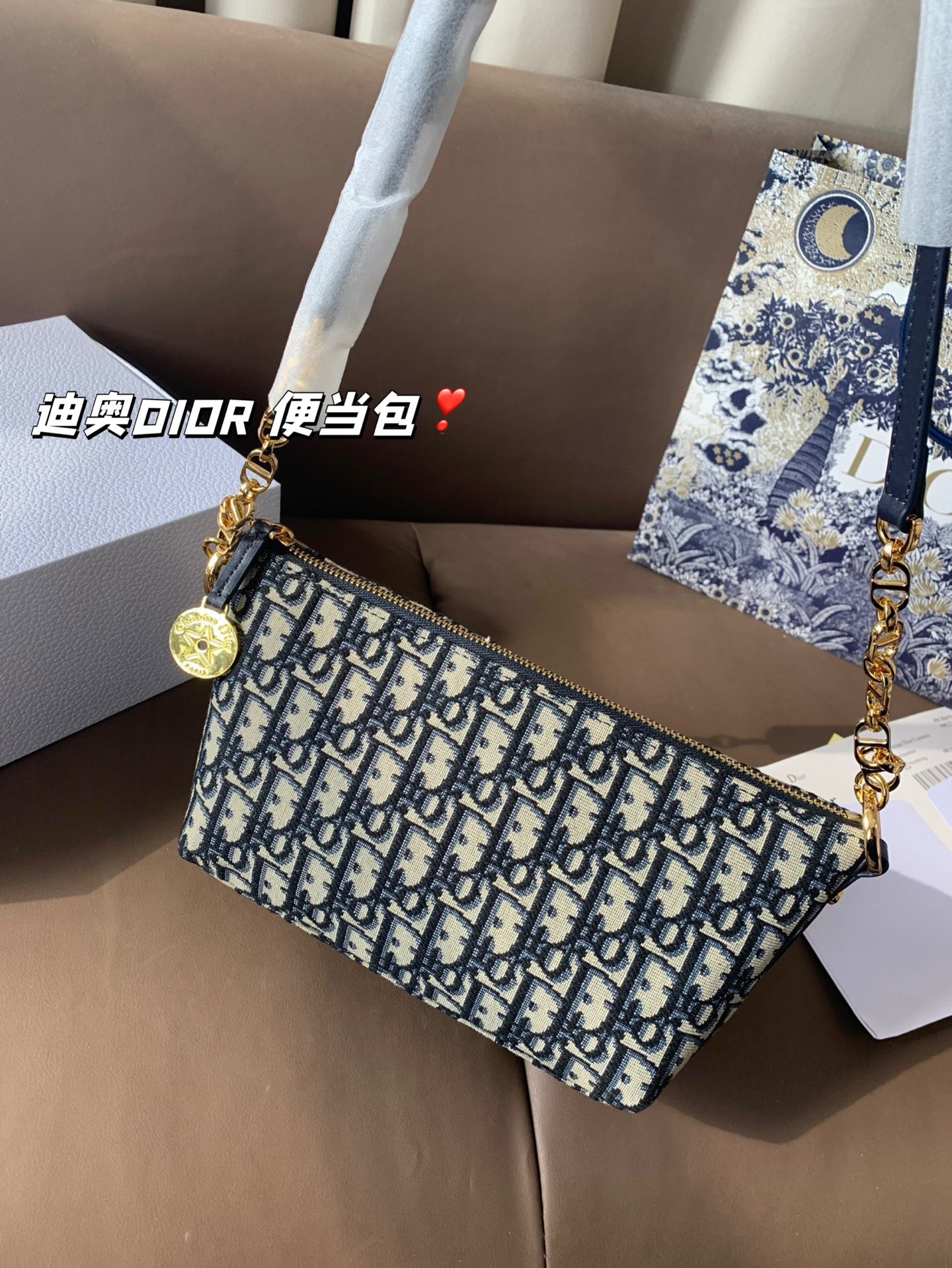 P165 折叠盒 迪奥DIOR 便当包 很有质感 可盐可甜上身绝美 无可比拟 是每个追求漂亮的女孩必入单品 尺寸22*16
