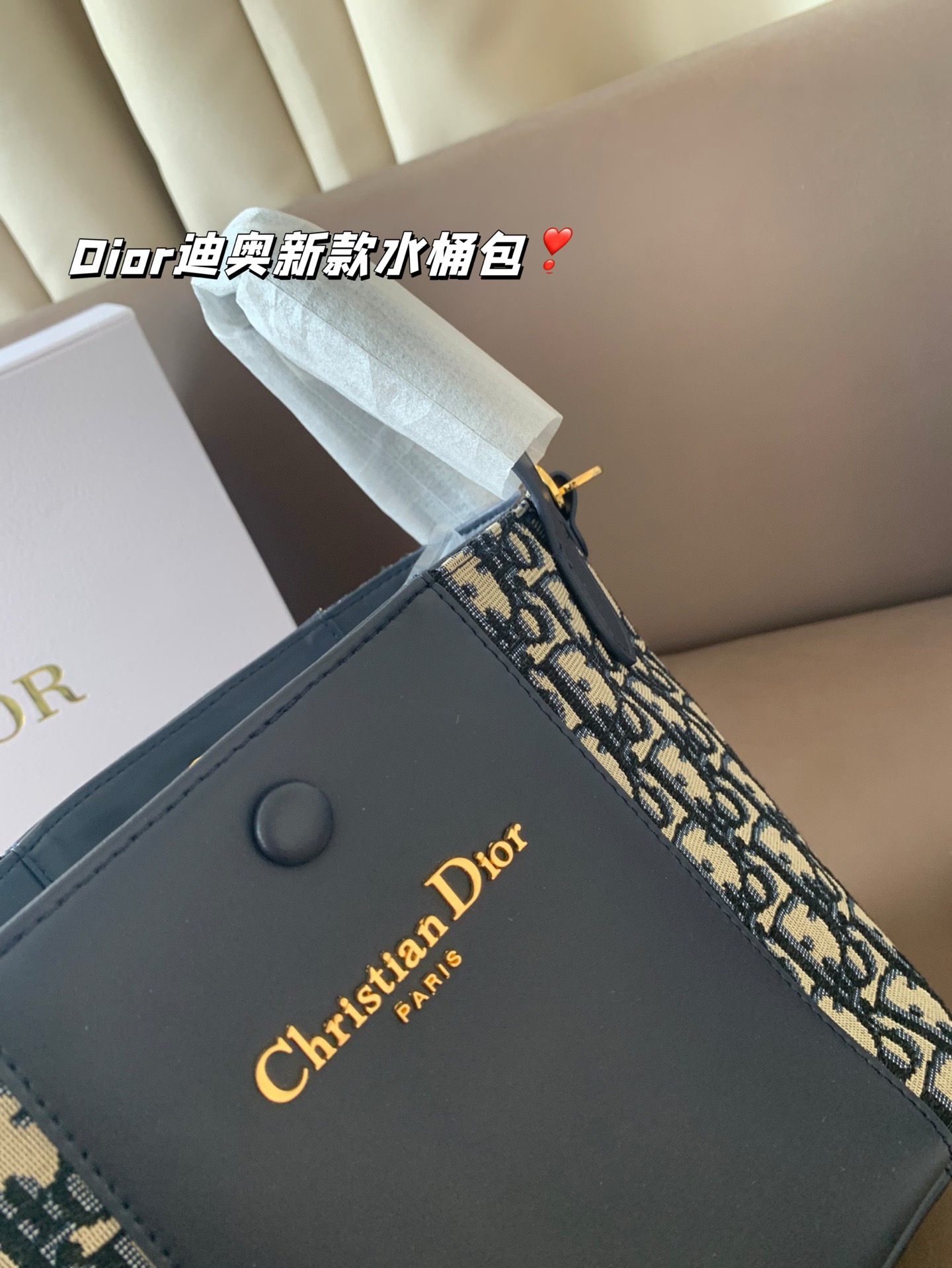 P170 Dior迪奥新款水桶包 高级感满满 经典中的经典 任何搭配都可轻松驾驭 尺寸19*20
