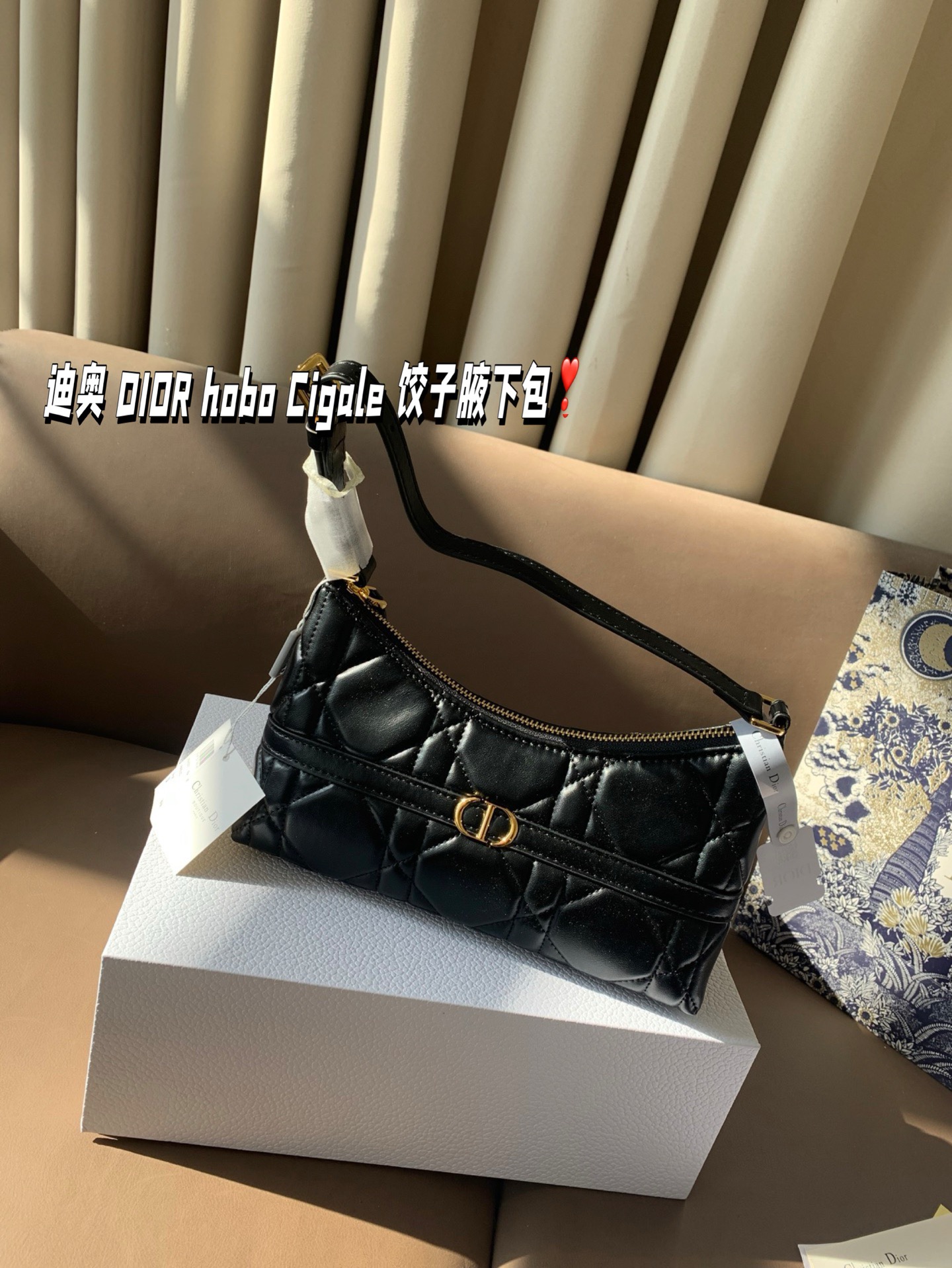 P155 折叠盒 迪奥 DIOR hobo Cigale 饺子腋下包 喜欢腋下包的有福啦 DIOR新出的这款迷你单肩水饺包 尺寸23*11