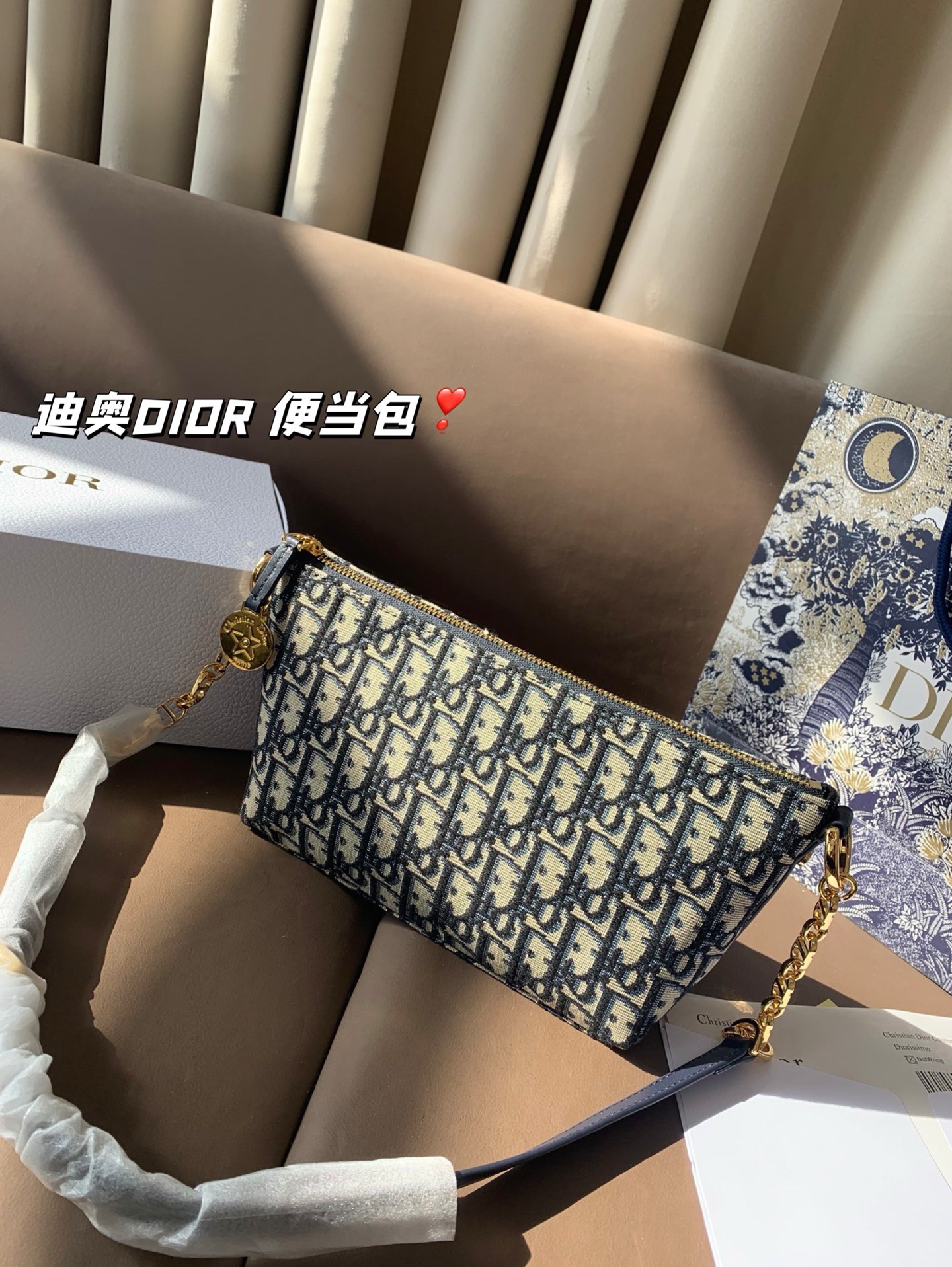 P165 折叠盒 迪奥DIOR 便当包 很有质感 可盐可甜上身绝美 无可比拟 是每个追求漂亮的女孩必入单品 尺寸22*16