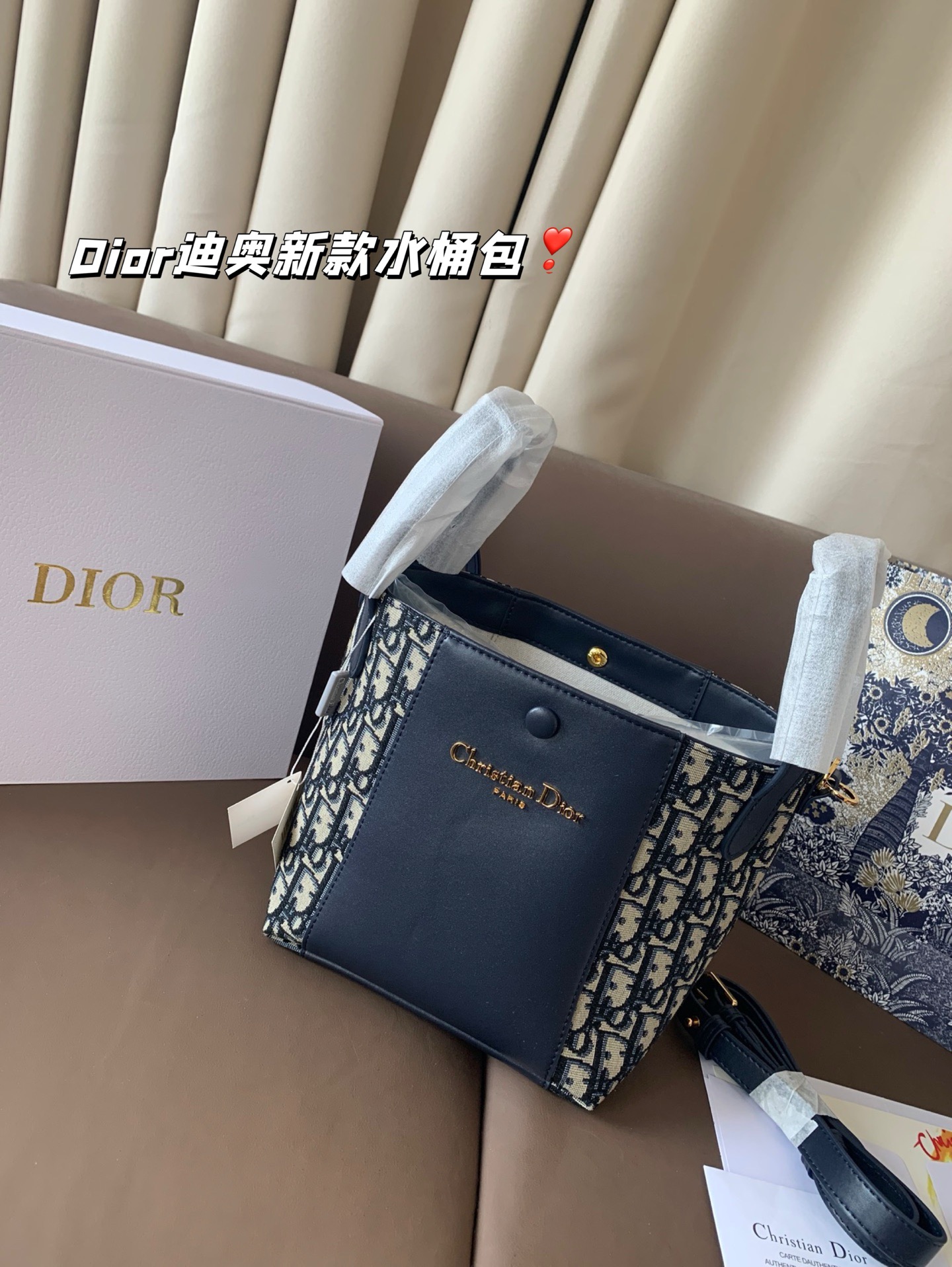 P170 Dior迪奥新款水桶包 高级感满满 经典中的经典 任何搭配都可轻松驾驭 尺寸19*20